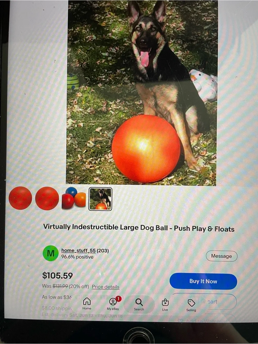Indestructible Dog Ball